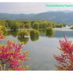image-109069 Καλωσορίζοντας το Μάη – Ανοιξιάτικες “ζωγραφιές” (20), από τα Καμβούνια, τα Αναβρυκά, τη λίμνη Πολυφύτου (γέφυρα Ρυμνίου)