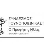 image-193960 2ο Επιδοτούμενο σεμινάριο από τον Σύνδεσμο Γουνοποιών Καστοριάς