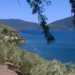 image-119331 Δήμος Κοζάνης: Δωρεάν συμμετοχή παιδιών στις κατασκηνώσεις του Πτελεού Μαγνησίας
