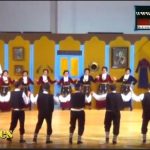 image-120787 Ολόκληρη η εκδήλωση του Μορφωτικού Oμίλου Σερβίων «Τα Κάστρα», «Ας αρχίσουν οι Χοροί», στο Πνευματικό Κέντρο Σερβίων (Βίντεο)