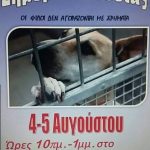image-126302 Φιλοζωική Πτολεμαίδας: Διήμερο υιοθεσίας 4-5 Αυγούστου
