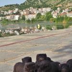 image-126119 Δ. Μακεδονία: Λήψη μέτρων για τον περιορισμό των μινγκ στο οικοσύστημα της