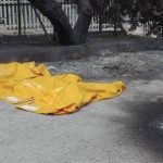 image-125693 Στους 74 οι νεκροί από τις πυρκαγιές στην Αττική
