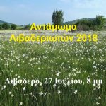 image-125208 Αντάμωμα Λιβαδερού 2018, την Παρασκευή 27 Ιουλίου