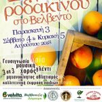 image-123957 Η αφίσα για την 14η γιορτή Ροδακίνου στο Βελβεντό, από 3 έως και 5 Αυγούστου 2018