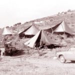 image-123966 Εθελοντές Κυνοκομείου Πτολεμαΐδας: Στην Πτολεμαΐδα επικρατεί ΡΑΤΣΙΣΜΟΣ από ποιους όμως;