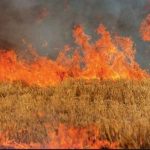image-296230 Δήμος Κοζάνης: Προληπτικά μέτρα για την αποφυγή δασικών πυρκαγιών