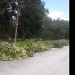 image-123647 kozan.gr: Ξεκίνησε η ανάπλαση του Κουρί Κοζάνης – Σε εξέλιξη οι εργασίες πρασίνου (Βίντεο & Φωτογραφίες)
