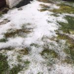 image-123051 kozan.gr: Άσπρισαν, από το χαλάζι, οι αυλές των σπιτιών στον Πολύμυλο Κοζάνης (Φωτογραφίες)