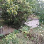 image-129414 Eπιστολή αναγνώστη: Kαθαρισμός στην αντιπλημμυρική τάφρο των Σερβίων (Φωτογραφίες)