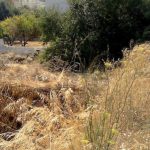 image-127572 Δήμος Βοΐου: Καθαρισμός ιδιωτικών οικοπέδων και ακάλυπτων χώρων εντός οικισμών