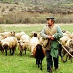 image-135547 Γιορτή Προβατίνας στο Μικρόκαστρο το Σάββατο 29 Σεπτεμβρίου 2018