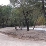 image-134875 kozan.gr: Σε εξέλιξη οι εργασίες ανάπλασης στο Κουρί Κοζάνης – Σημερινές (26/9) εικόνες