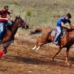 image-134155 Σιάτιστα: 11οι Πανελλήνιοι «Ευθύμιοι» Ιππικοί Αγώνες Ταχύτητας, την Κυριακή 30 Σεπτεμβρίου