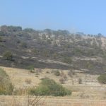 image-139546 kozan.gr: Φωτιά σε βουνοπλαγιά, κοντά στην περιοχή του Ιερού Ναού Αγίας Ειρήνης Χρυσοβαλάντου Βαθυλάκκου δήμου Σερβίων – Βελβεντού (Βίντεο & Φωτογραφίες)