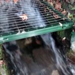 image-138609 kozan.gr: Νεκρός 65χρονος στην περιοχή Αγ. Τριάδος Βελβεντού (Φωτογραφίες & Βίντεο)