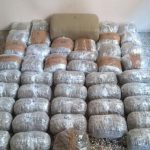 image-137176 Κοζάνη: Συνελήφθησαν δύο αλλοδαποί, 51 και 29 ετών, για διακίνηση μεγάλης ποσότητας ακατέργαστης κάνναβης, βάρους 58 κιλών και 280 γραμμαρίων (Φωτογραφίες)