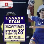 image-141261 Κλειστό Λευκόβρυσης: Μόνο με προσκλήσεις και διαπιστεύσεις η είσοδος στο γήπεδο για τον αγώνα Ελλάδα- ΠΓΔΜ – Δεν θα διατεθούν εισιτήρια – Τι αναφέρει η επίσημη ανακοίνωση της Ομοσπονδίας Χειροσφαίρισης Ελλάδος