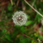 image-140601 Η δύναμη της αδυναμίας (Γράφει η Δήμητρα Ν. Παπανικολάου)