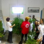 image-148149 Στολισμός του χριστουγεννιάτικου δέντρου του Μαμάτσειου νοσοκομείου Κοζάνης από τον Ελληνικό Ερυθρό Σταυρό