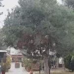 image-148075 kozan.gr: Ώρα 10:00π.μ.: Χιονόπτωση, αυτή την ώρα, στην Πτολεμαΐδα (Βίντεο)