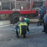 image-146394 Εκπαιδευτική επίσκεψη στην Πυροσβεστική Υπηρεσία Κοζάνης από μαθητές της Δ΄ τάξης του 10ου Δημοτικού Σχολείου (Φωτογραφίες)