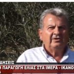 image-144000 Iκανοποιητική η φετινή παραγωγή ελιάς στα Ίμερα του δήμου Σερβίων – Βελβεντού – Τι λέει Πρόεδρος του Συνεταιρισμού Ιμέρων Δημήτρης Παπαδόπουλος (Βίντεο)