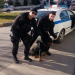 image-154213 Έχασε το σκύλο του, όμως τον εντόπισαν άντρες της ομάδας ΔΙΑΣ Κοζάνης (Φωτογραφίες)
