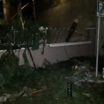 image-159471 kozan.gr: Πτώση μεγάλου δέντρου από την αυλή του ΕΒΕ Κοζάνης προς το μέσο του δρόμου επί της οδού Ι. Φαρμάκη (Φωτογραφίες)