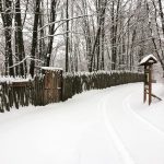 image-155989 Κλειστό παραμένει από τις πρώτες μέρες του νέου έτους το Καταφύγιο της Αρκούδας στο Νυμφαίο