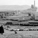 image-163977 Αποχαιρετώντας τη ΔΕΗ που ξέραμε