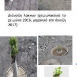 image-163027 Πώς το LIFE Green Link πρασινίζει καινοτόμα τα ερημωμένα λιγνιτωρυχεία της Δυτικής Μακεδονίας