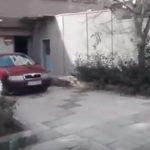 image-160922 kozan.gr: Η έξοδος, από τον Εισαγγελέα Κοζάνης, του 19χρονου δράστη, που προέβη στην πράξη του βιασμού της 17χρονης – Ο Εισαγγελέας τον παρέπεμψε, για την Δευτέρα, στον Ανακριτή (Βίντεο)