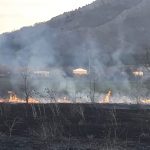 image-168122 kozan.gr: Φωτιά σε χορτολιβαδική έκταση στην Τ.Κ. Νέας Καρδιάς στην Κοζάνη – Άμεση η επέμβαση της πυροσβεστικής που έσβησε τη φωτιά (Βίντεο)