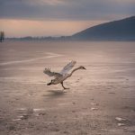 image-169127 Αφιέρωμα στη φωτογραφική ματιά του συντοπίτη μας Αργύρη Καραμούζα από το parallaximag.gr