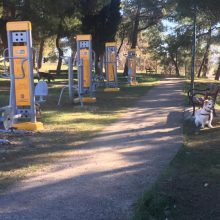 image-173014 kozan.gr: Κοζάνη: Υπαίθρια όργανα γυμναστικής, τοποθετήθηκαν στην περιοχή του Ξενία (Φωτογραφία)