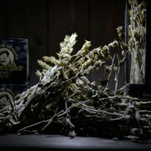 image-173094 Εορδαία: Το «ποντιακό» τσάι του βουνού που κερδίζει τους Ευρωπαίους
