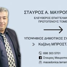 image-176444 Σχετικά με την υποψηφιότητά μου με τον Ευάγγελο Σημανδράκο (του Σταύρου Μαυρόπουλου)