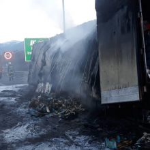 image-176752 Γρεβενά: Φωτιά σε φορτηγό στην Εγνατία (Φωτογραφίες)