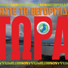 image-179043 10 + 1 ερωτήσεις προς υποψηφίους Περιφερειάρχες – Δημάρχους για τη λίμνη Βεγορίτιδα