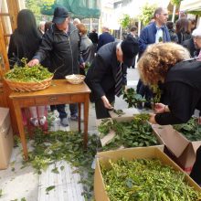 image-182036 kozan.gr: Η Κυριακή των Βαΐων στον Ιερό Μητροπολιτικό ναό Αγ. Νικολάου Κοζάνης – Φιλανθρωπικό πασχαλινό παζάρι του Κατηχητικού (Φωτογραφίες & Βίντεο)