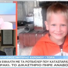 image-194475 kozan.gr: Αναβολή για τις 24 Μαρτίου του 2020 στη δίκη για την υπόθεση με τα ροτβάιλερ και τον τραγικό θάνατο του τότε 5χρονου Στάθη (Βίντεο)