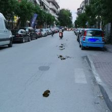 image-195897 Σχόλιο αναγνώστη στο kozan.gr: «H νέα μόδα που έχει κατακλύσει την πόλη της Πτολεμαΐδας» (Φωτογραφία)