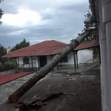image-200610 kozan.gr: Δέντρο, λόγω των δυνατών ανέμων, έπεσε πάνω στη σκεπή του Ιερού Ναού Αγίας Μαρίνης Τσοτυλίου (Φωτογραφίες(