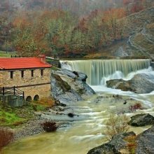 image-201038 Το φεστιβάλ «Gates Οf Μemory – Πόρτες της μνήμης», από την Πέμπτη 01/08/2019 έως και την Κυριακή 04/08/2019, στην Χρυσαυγή Βοΐου