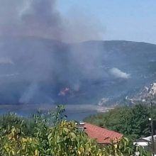 image-225152 kozan.gr: Φωτιά σε θαμνώδη περιοχή του Λογκά Ελάτης (Φωτογραφίες & Βίντεο)