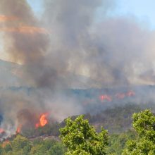 image-238685 Σε απόλυτο έλεγχο η πυρκαγιά στο Λογγά Ελάτης – Παραμένουν τη νύχτα οι δυνάμεις της πυροσβεστικής για τον κίνδυνο αναζωπύρωσης της φωτιάς
