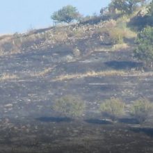 image-239453 kozan.gr: Πρωινές εικόνες από το σημείο που εκδηλώθηκε η πυρκαγιά σε χορτολιβαδική έκταση 2,5 χλμ. περίπου από το Βαρικό Φλώρινας – Μικρές εστίες αυτή την ώρα σε εξέλιξη