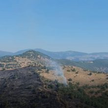 image-239464 kozan.gr: Ώρα 09:15π.μ.: Εικόνες του kozan.gr, από ΨΗΛΑ, από το σημείο της χορτολιβαδικής έκτασης που έκαψε η φωτιά, περίπου 2,5 χλμ. από το Βαρικό Φλώρινας (Βίντεο)