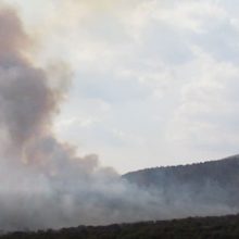 image-241880 kozan.gr: Ώρα 16:36: Νέες εικόνες από τη φωτιά έξω από τα Λεύκαρα Σερβίων – Δείτε το ύψος που φτάνει ο καπνός από τις καμένες εκτάσεις και την επιχείρηση πυρόσβεσης δύο καναντέρ (Βίντεο)